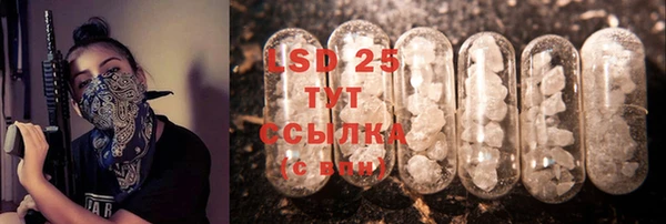сатива Беломорск