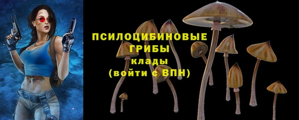 сатива Беломорск