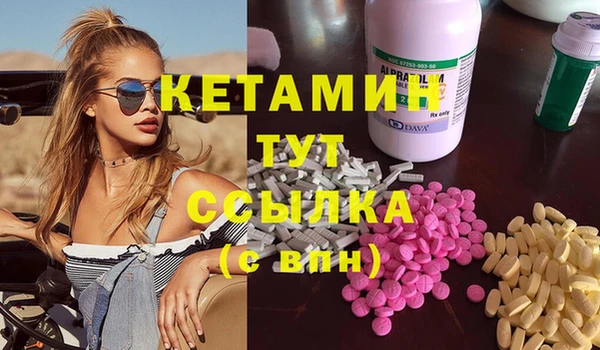 сатива Беломорск
