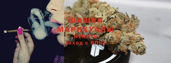 сатива Беломорск