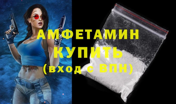 сатива Беломорск