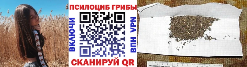 наркота сайты даркнета Telegram Галлюциногенные грибы ЛСД Жуков